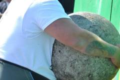 1523273_1607457726138649_2207447297810387569_o_1607457726138649